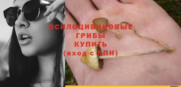 крисы Семёнов