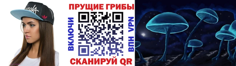 продажа наркотиков  Нерюнгри  Галлюциногенные грибы MAGIC MUSHROOMS 